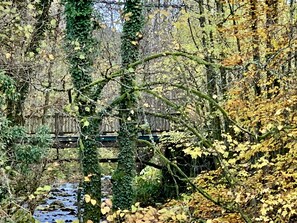 المنطقة المحيطة بالمنشأة