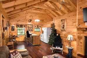 Smart TV, fireplace, video games, DVD player