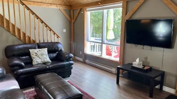 TV connectée, cheminée, lecteur de DVD, livres