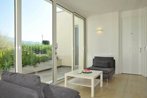 Televisio, DVD-soitin