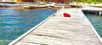 Private Island Getaway - Belize Barrier Reef - Fish, Snorkel, Spearfishing, SUP 