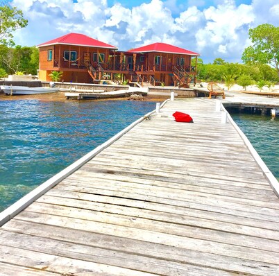 Private Island Getaway - Belize Barrier Reef - Fish, Snorkel, Spearfishing, SUP