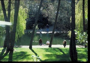 A park with a pond, trees, and people walking and sitting. - Homerez - Apt near beach & pool (Six-Fours-les-Plages)