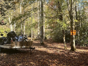 Experience the great outdoors at this campsite, surrounded by tall trees and a mix of autumnal foliage.