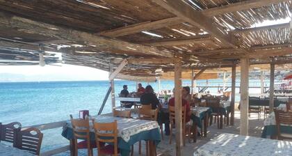 Liman Balikevi