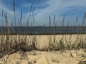 Beach nearby, sun-loungers