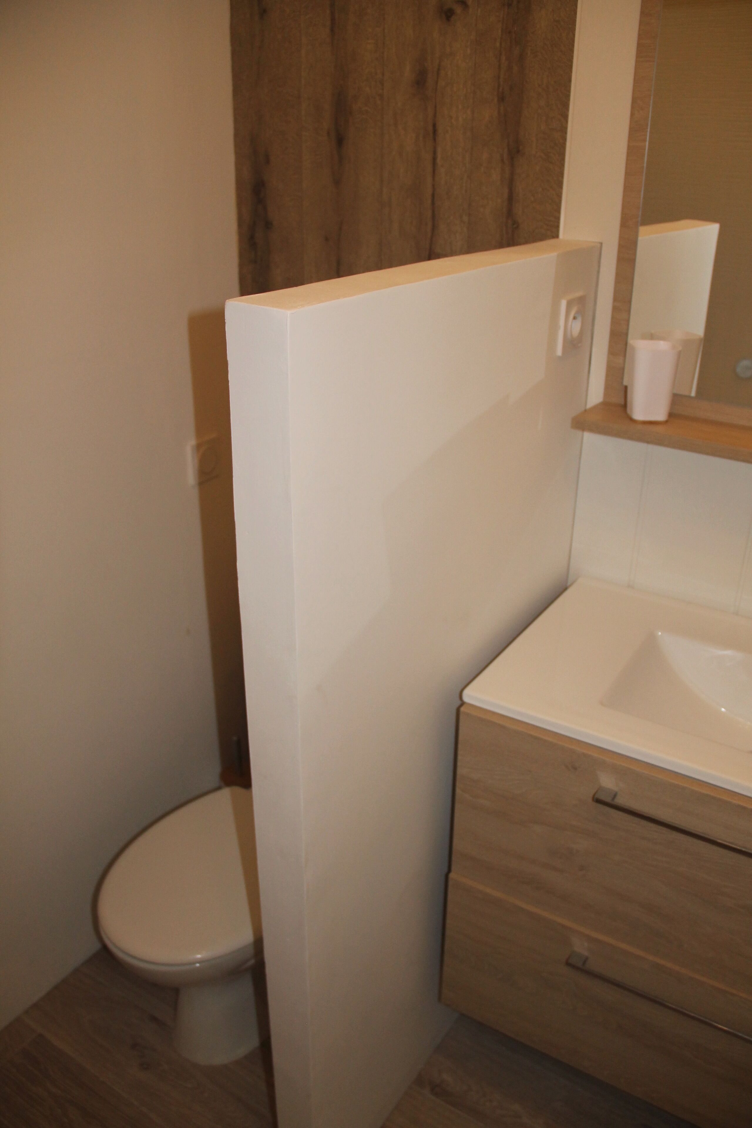 Une salle de bain avec des toilettes, un meuble en bois et un miroir.