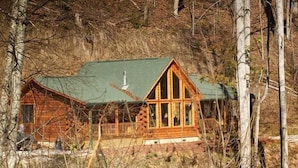 A cabin with a green roof, large windows, and a wooden deck.