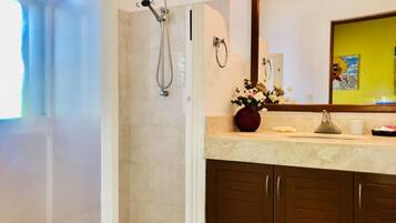 Shower, towels, toilet paper