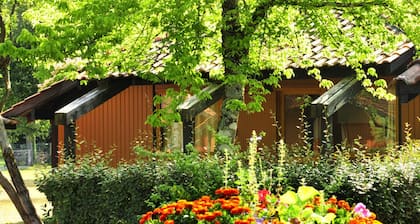 Quiet room for 2, swimming pool, tennis court, nature