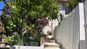 A garden with a variety of plants, a staircase, and a white wall. - Panoramic view of Marseille and sunset, calm, nature and garden (Marseille)