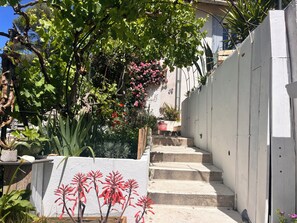 A garden with a variety of plants, a staircase, and a white wall. - Panoramic view of Marseille and sunset, calm, nature and garden (Marseille)