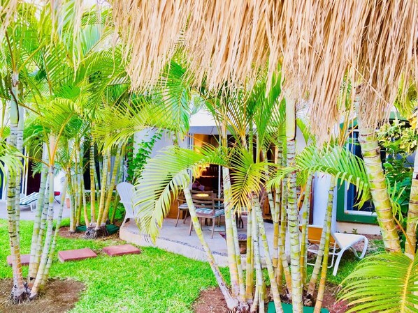 Terrace/patio - Executive Comfort Triple Room (Playa del Carmen)