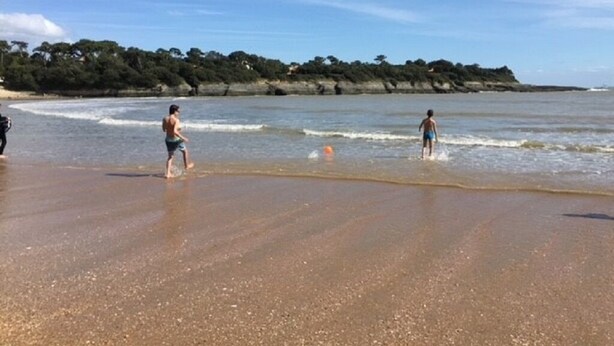 A beach with people playing, a sandy shore, and a forested area in the background.