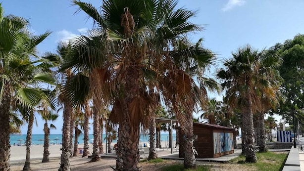 Strand