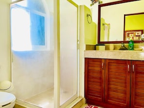 Shower, jetted tub, towels