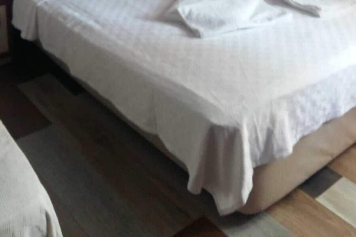 Standard-Doppelzimmer | Minibar, kostenloses WLAN