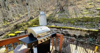 Pet Friendly! 'Sugar Ski Hideout'