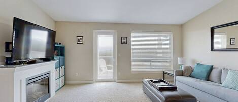 Télévision, cheminée, lecteur de DVD, livres