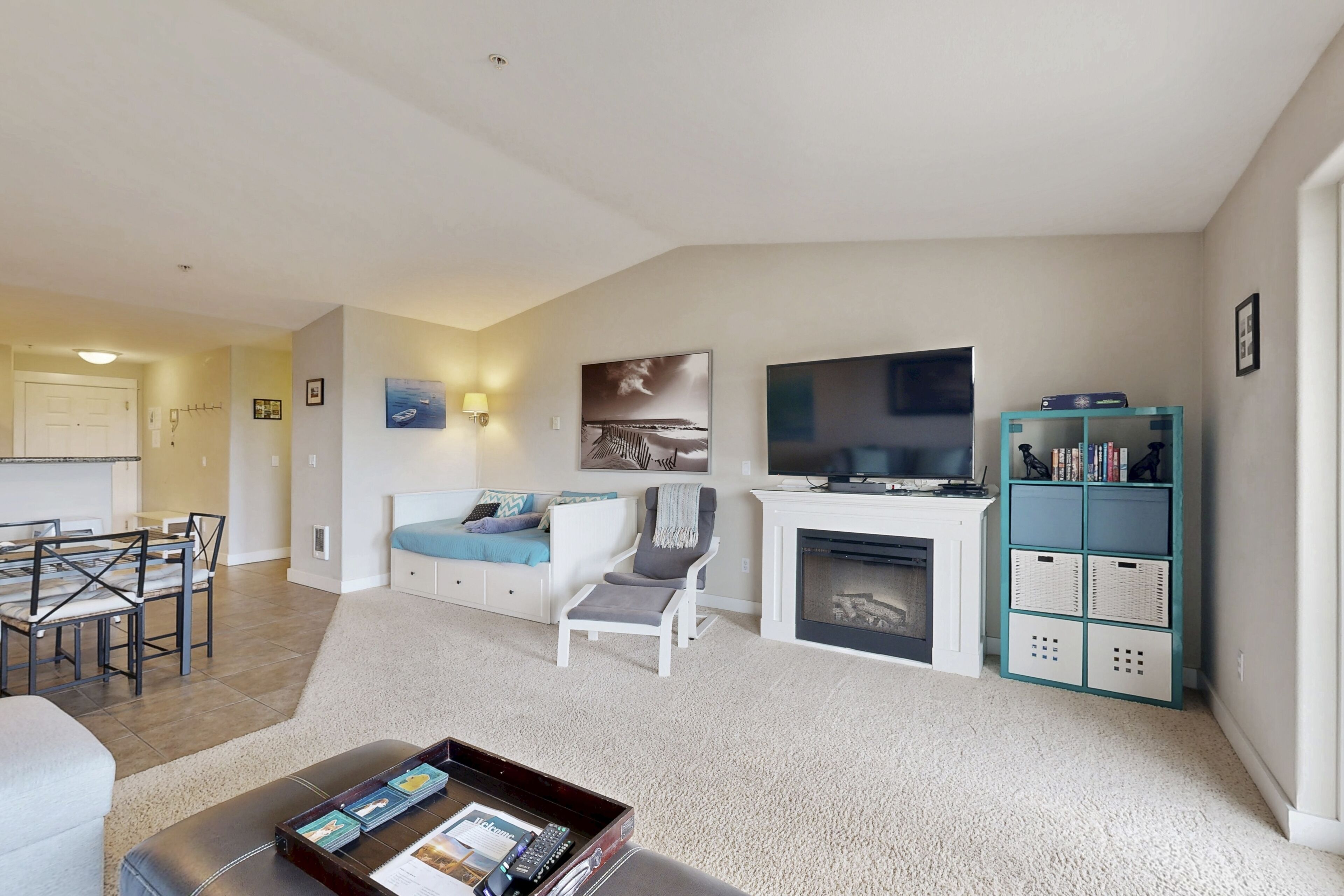 TV, fireplace, DVD player, books