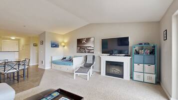 TV, fireplace, DVD player, books