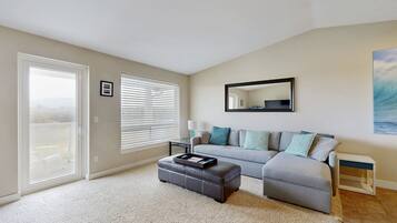 TV, fireplace, DVD player, books
