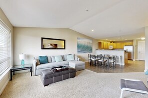 Télévision, cheminée, lecteur de DVD, livres