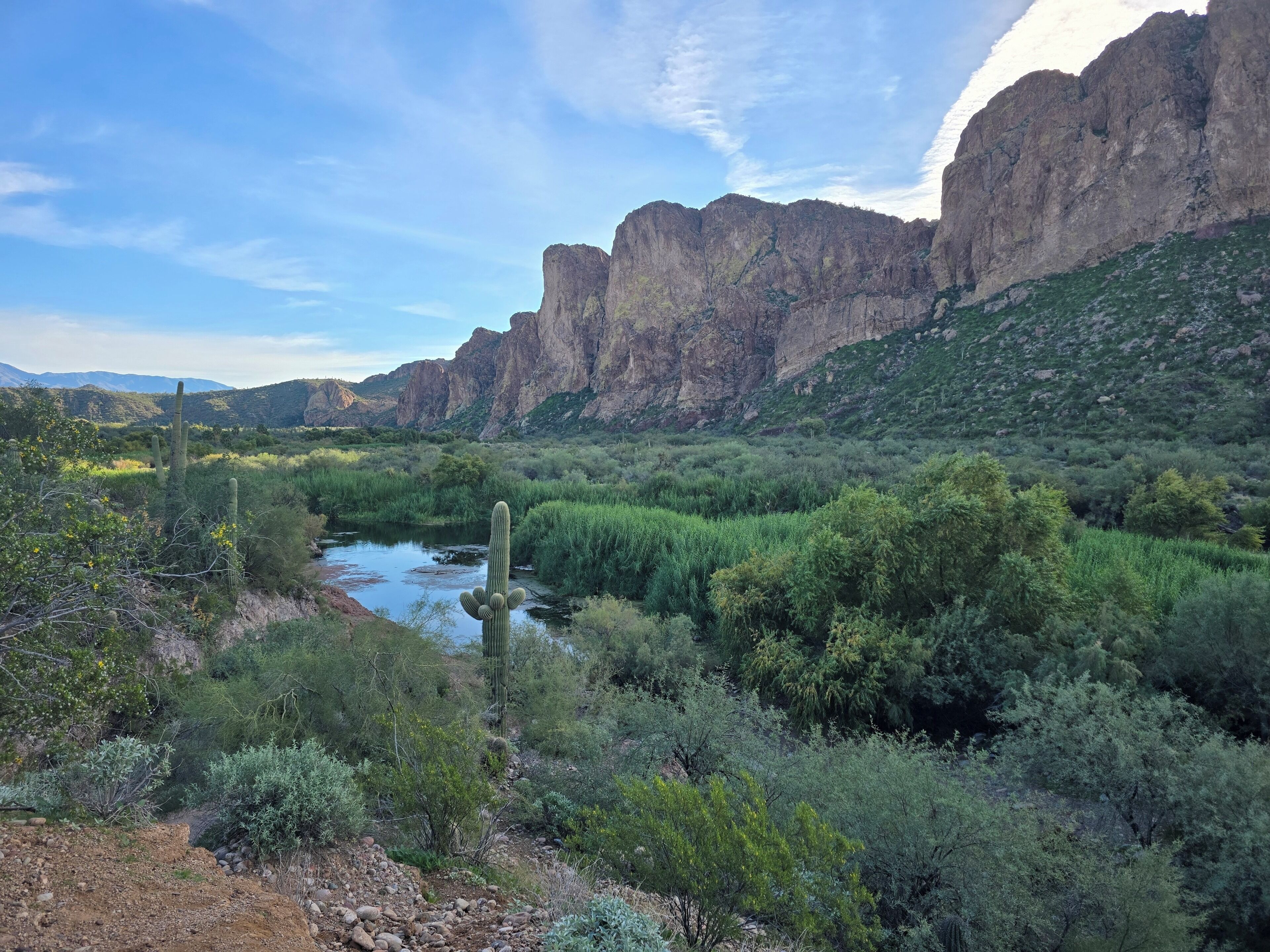 A desert landscape with a river, cacti, and mountains.