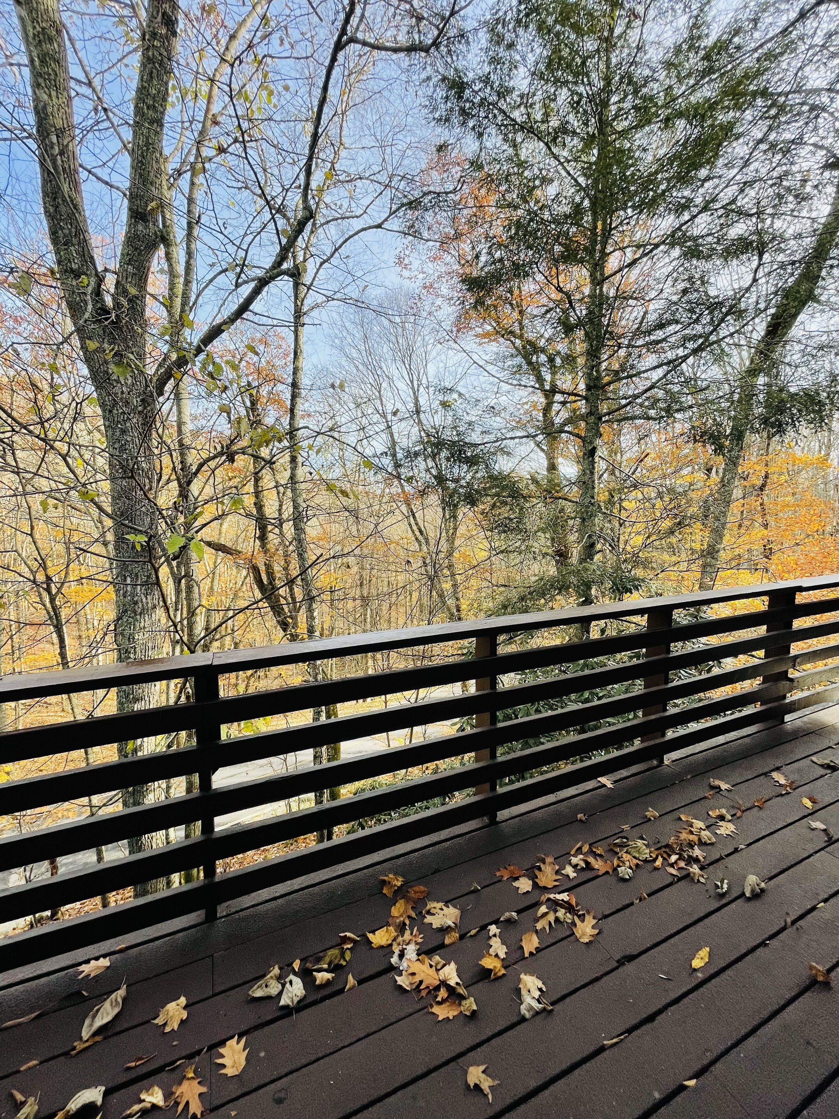 Een houten terras met banken en gevallen bladeren, met uitzicht op een bos met herfstkleurige bomen.