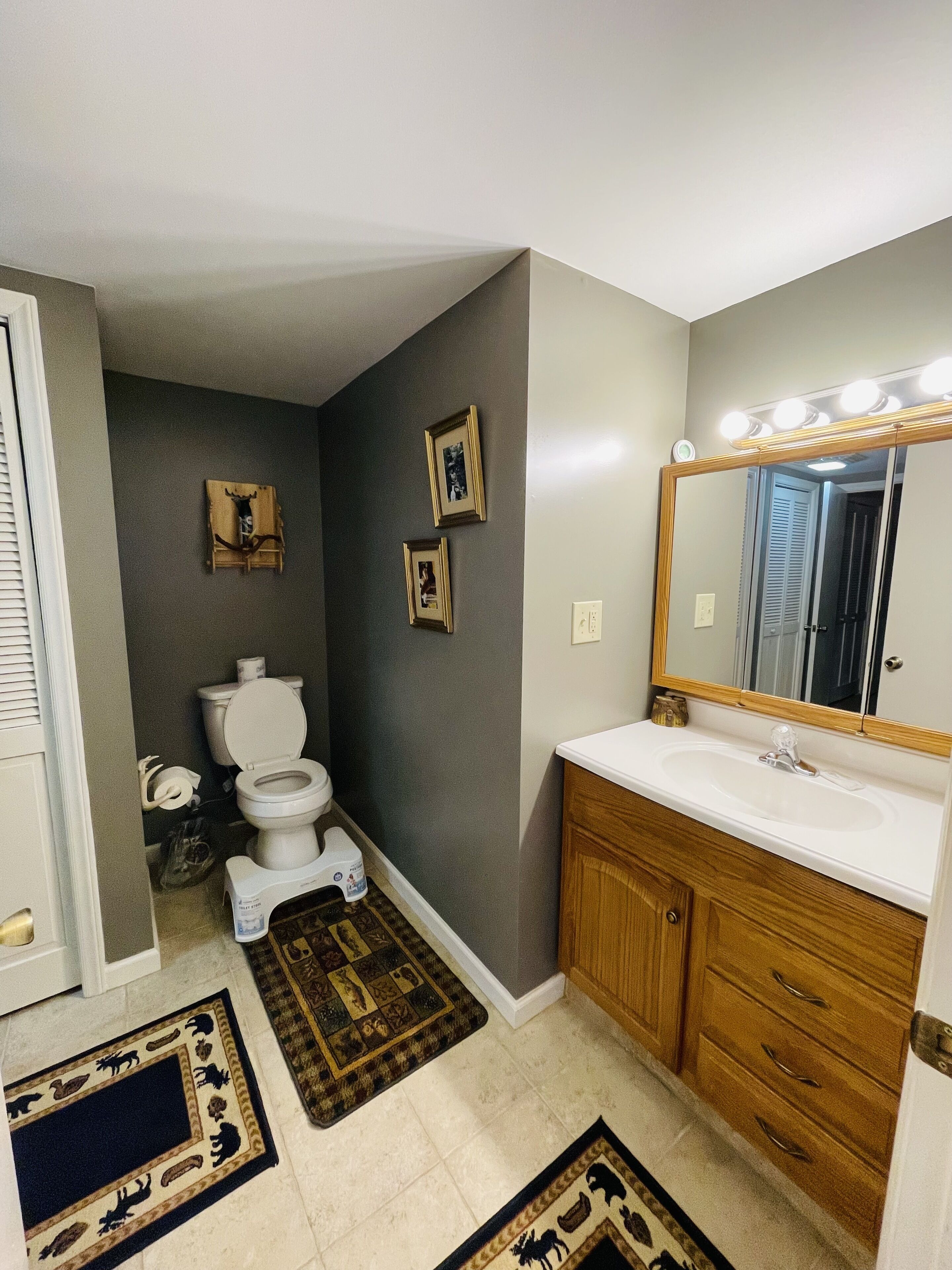 Une salle de bain comprenant des toilettes, un meuble-lavabo, un miroir et deux tapis.