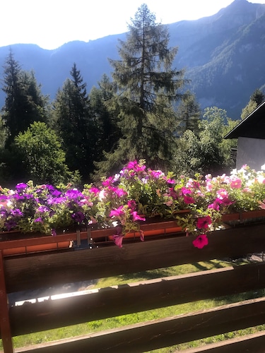 Sasso Rosso Apartment with Alps View
