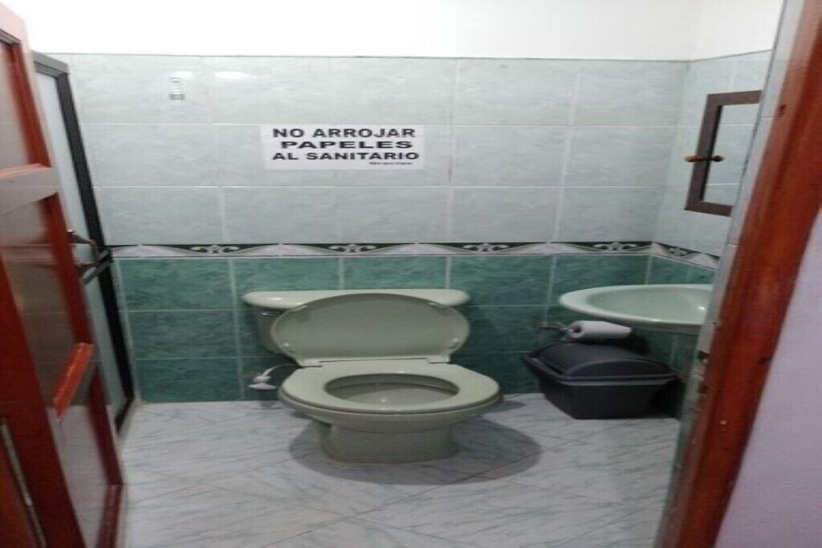 Imagen de perfil del propietario o de la propietaria