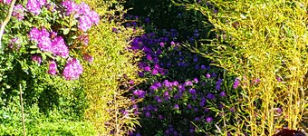 HOUSE ON GARDEN OF CHARM IN THE VILLAGE GARDEN OF VARENGEVILLE ON SEA