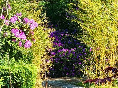 CASA EN JARDÍN DE CHARM EN EL PUEBLO JARDÍN DE VARENGEVILLE EN MAR