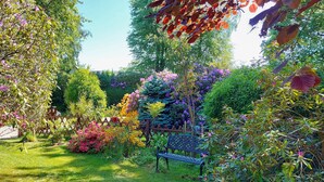 Un jardín con un banco y diversas plantas en flor.