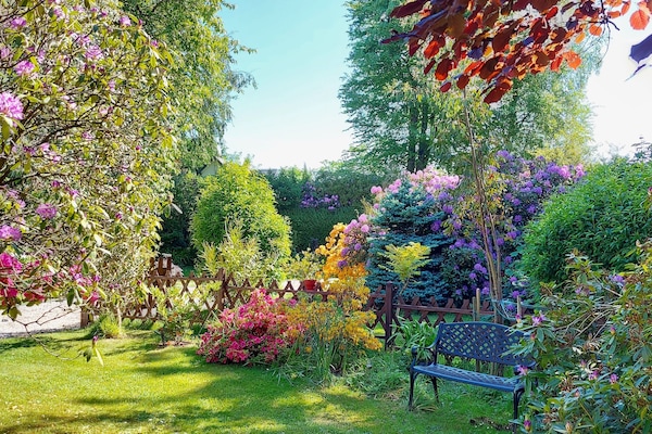 Jardins du cottage avec rhododendrons et azalées en fleurs.
