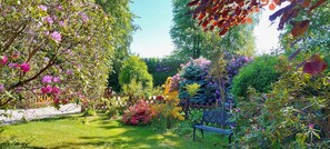 Property grounds - HOUSE ON GARDEN OF CHARM IN THE VILLAGE GARDEN OF VARENGEVILLE ON SEA (Varengeville Sur Mer)