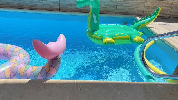 En pool med uppblåsbara leksaker, bland annat en grön havssköldpadda och en rosa orm.