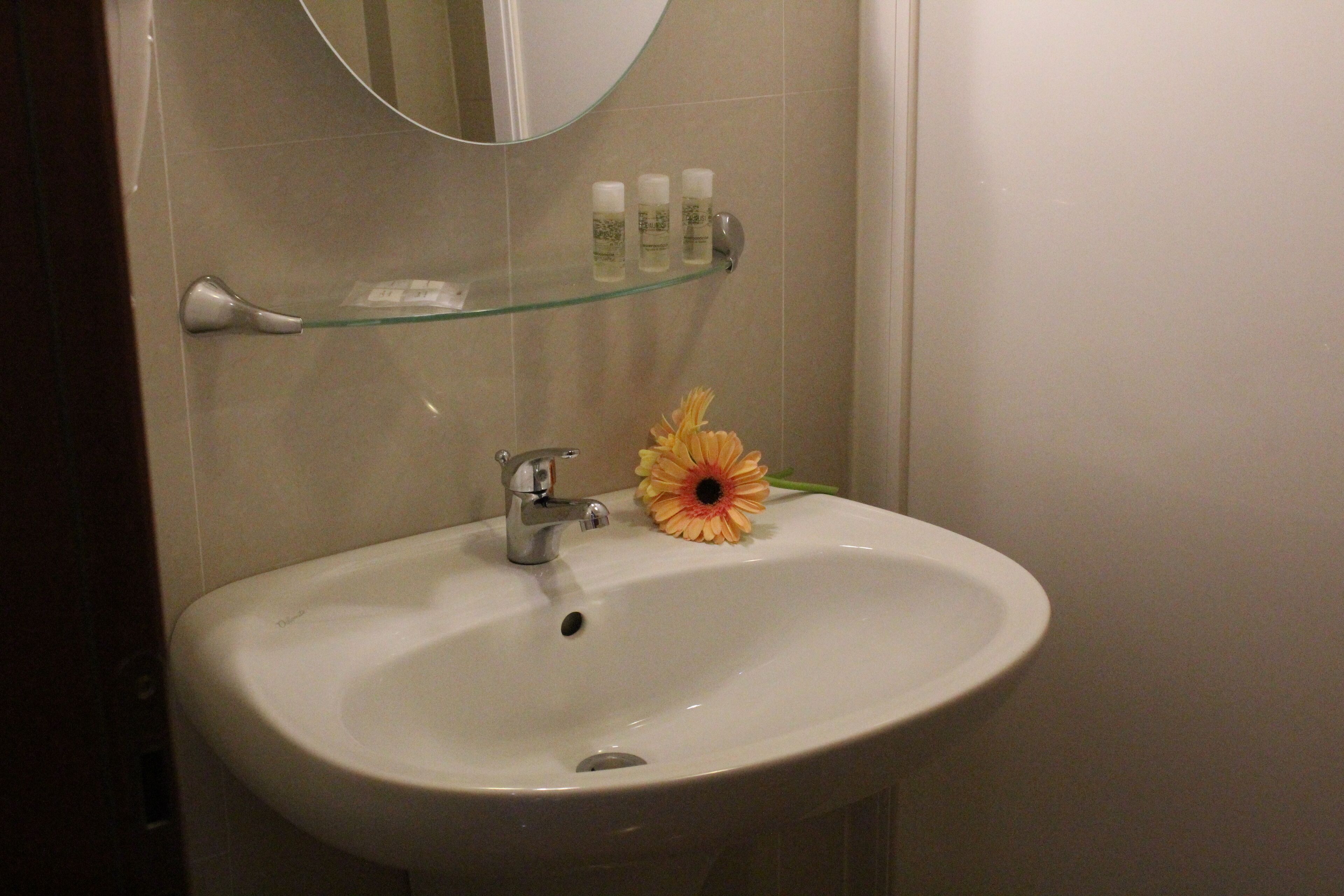 A bathroom with a white sink, a mirror above it, and a glass shelf with toiletries.
