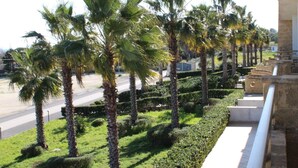 A row of palm trees along a paved pathway with a view of a road and distant buildings. - Città Della Notte (Melilli)