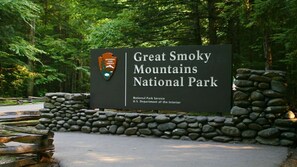 Property grounds - Cockadoodle House (Pigeon Forge)