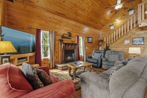 Smart TV, fireplace, books