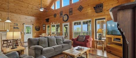 Smart TV, fireplace, books
