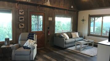 Smart TV, fireplace, DVD player, books