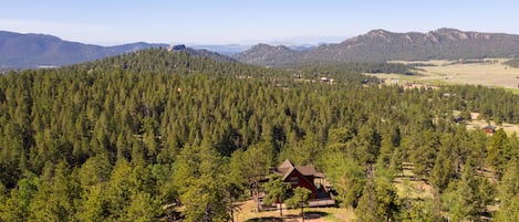 Une zone boisée avec un chalet entouré d’arbres et une chaîne de montagnes en arrière-plan.