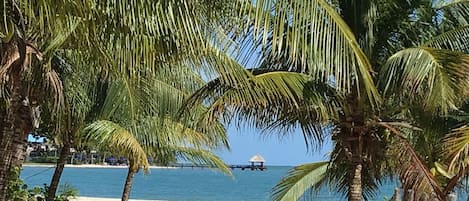 On the beach, sun-loungers, beach towels