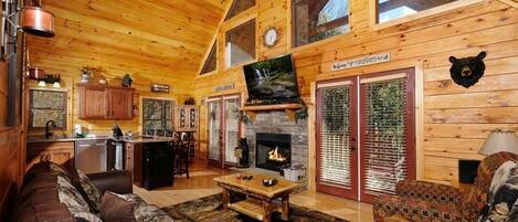 Télévision, cheminée, jeux vidéo