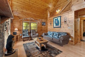 Télévision, cheminée, jeux vidéo