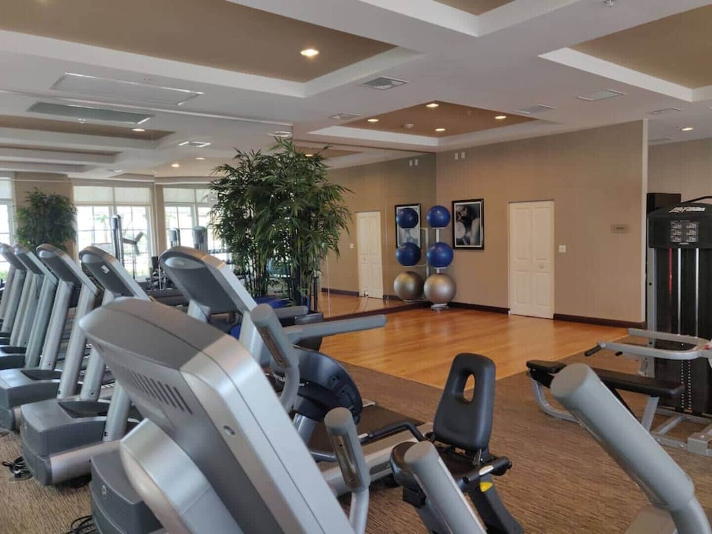 Un gimnasio con cintas de correr, elípticas y una bicicleta estática. Hay una planta grande y pelotas de ejercicio en la pared.