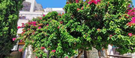 Departamento familiar | Exterior